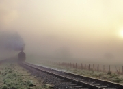 英雄联盟总决赛门票-突尼斯制胜一击！迪亚斯托起西甲荣耀