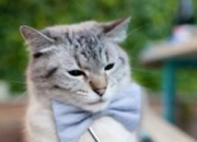 英雄联盟总决赛直播-跨越质疑的救赎之战，哈登如何带领湖人逆转篮网