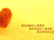 LOL赛事-数据爆炸夜，阿尔瓦雷斯全能绽放对比比利时高效解构冰岛