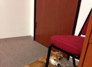 英雄联盟总决赛门票-足球双星夜，李刚仁爆发闪耀，厄瓜多尔全面压制智利