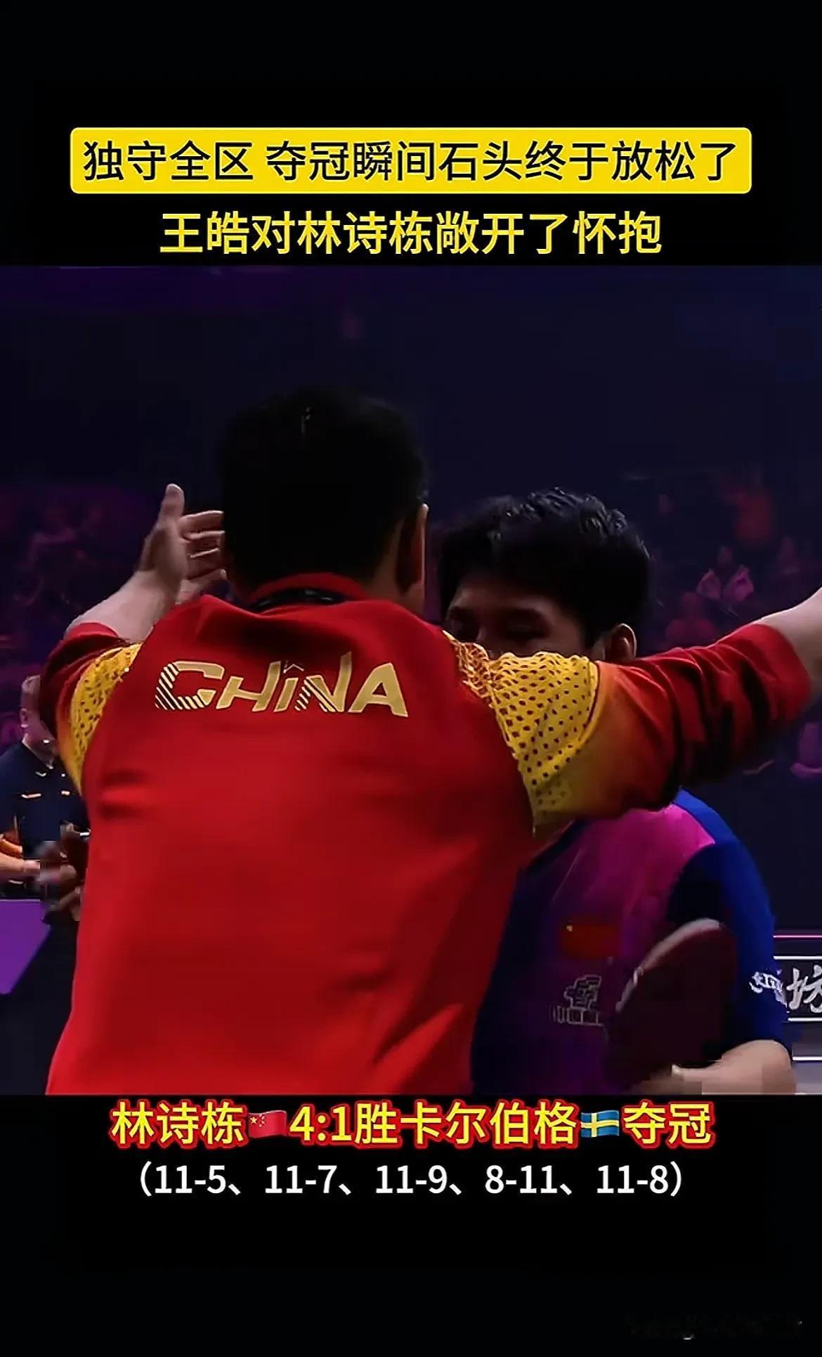 法国队绝杀日本队，王皓惊艳四座的简单介绍