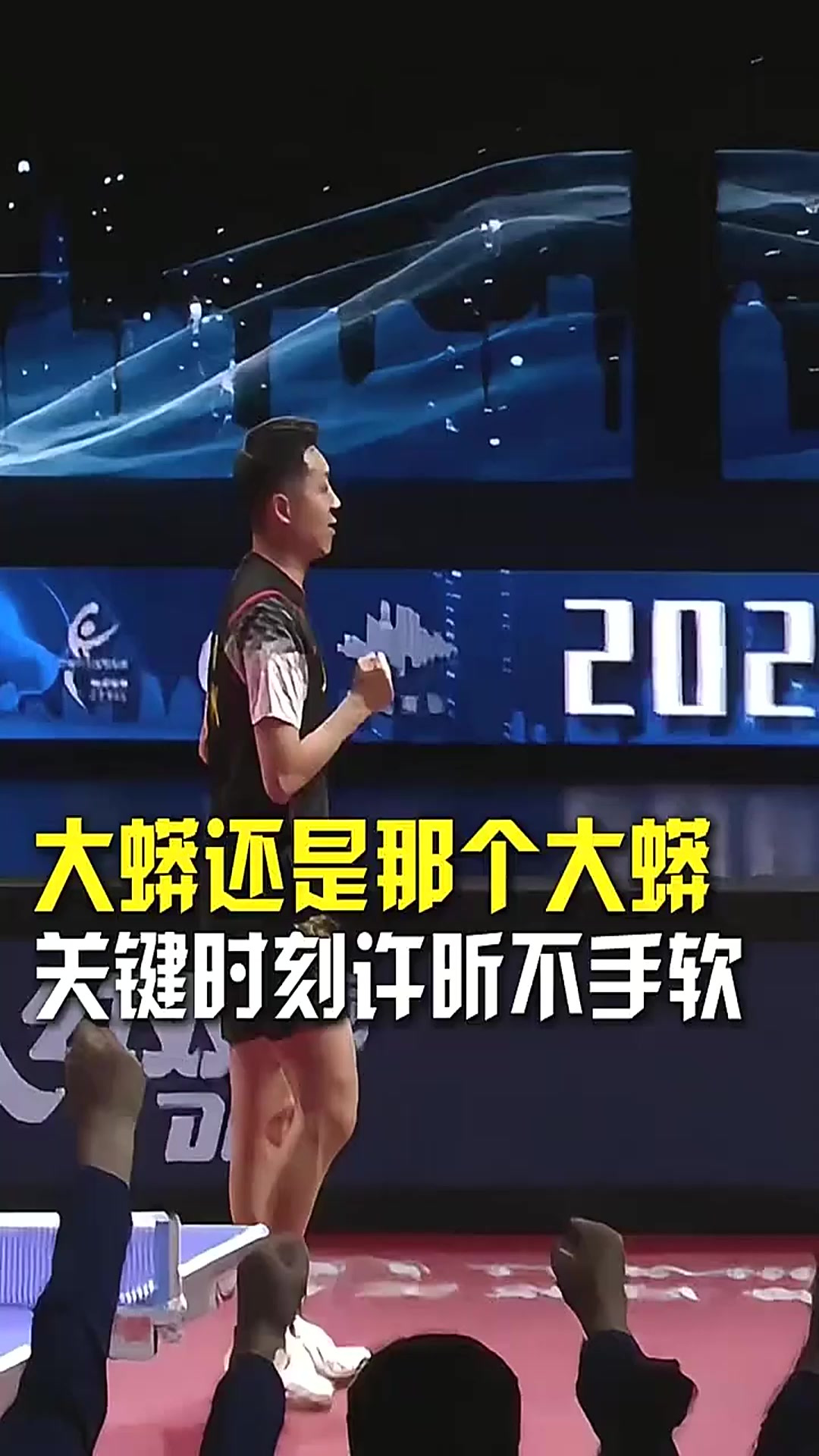 瑞典队完胜日本队,许昕关键制胜 瑞典队完胜日本队,许昕关键制胜