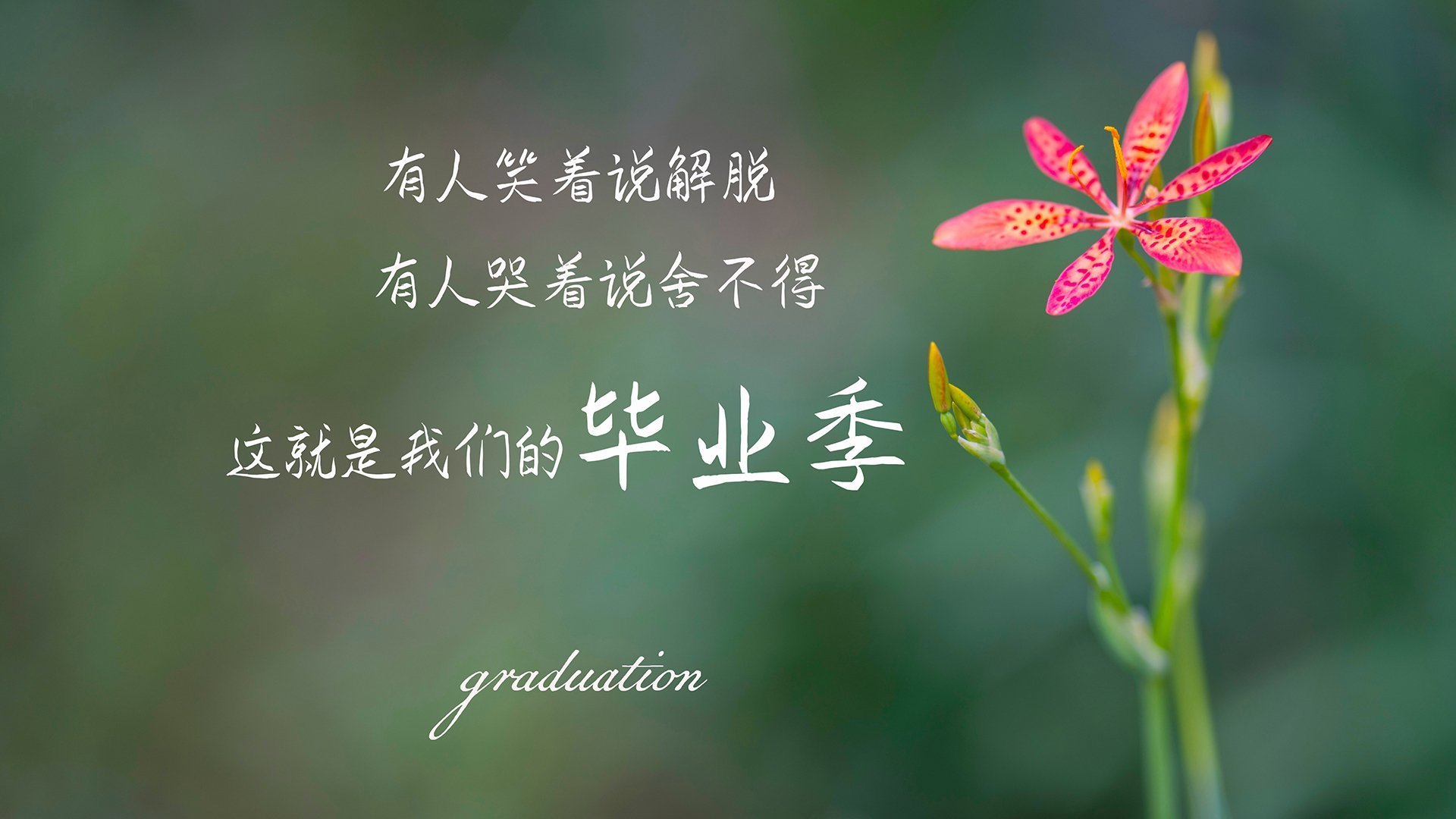 铜墙铁壁的叹息，当阿根廷的压制风暴，遇见富安健洋的孤岛防御