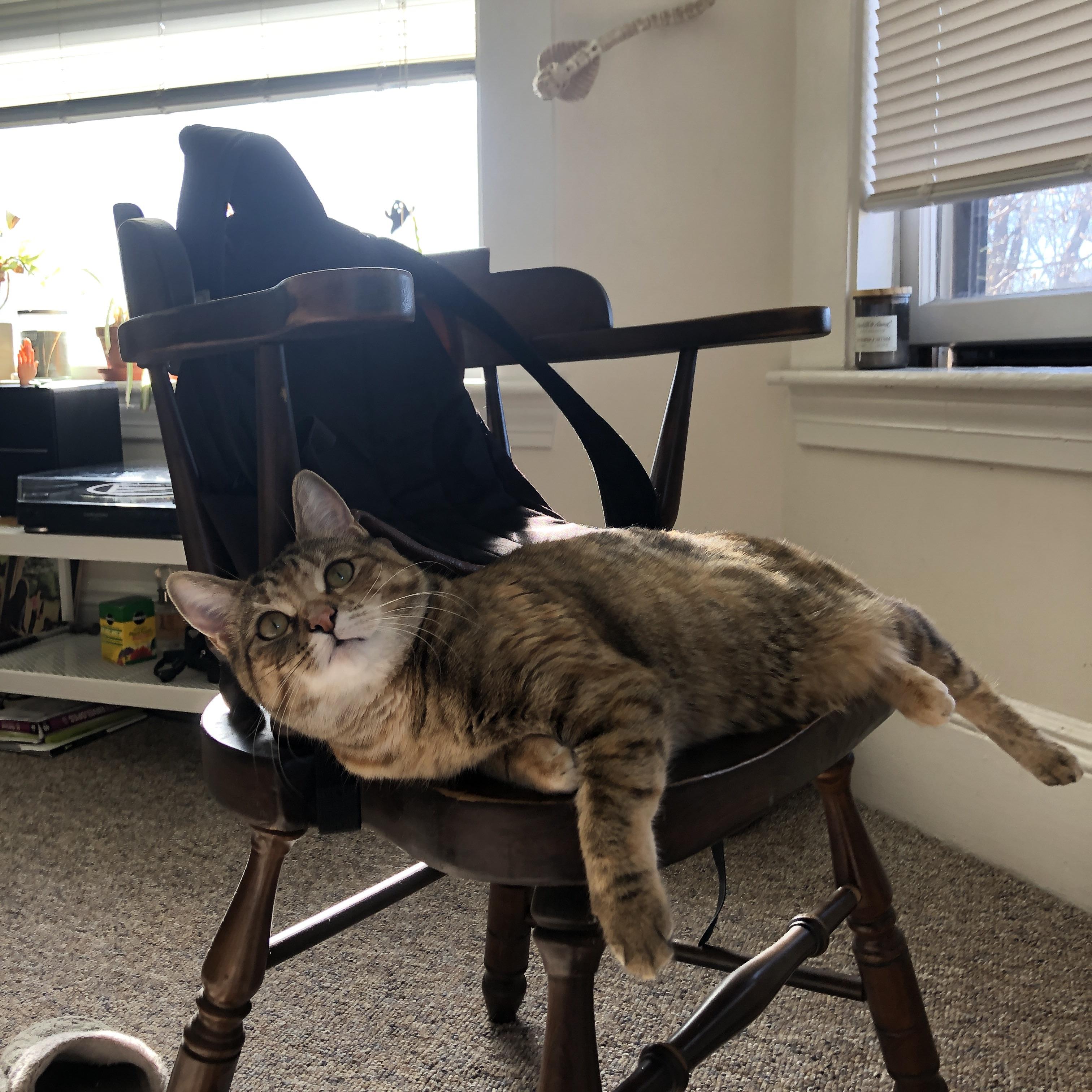 王权与荆棘，当个人英雄主义遇上现代足球的团队铁律