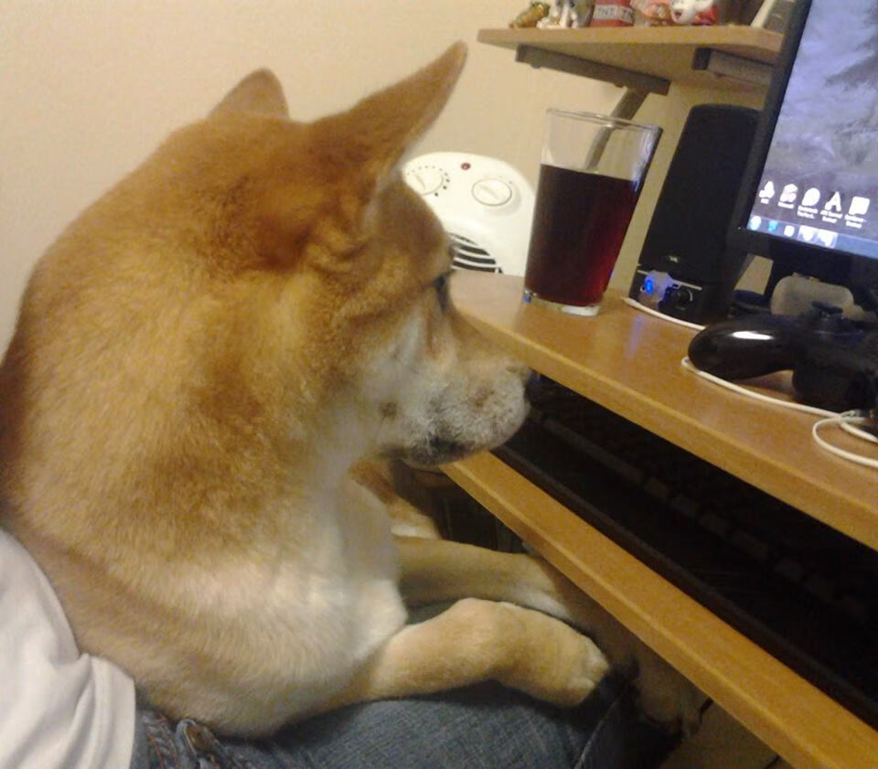 绝境逆转!乌拉圭力克加拿大,沉默羔羊加克波临门一脚破局