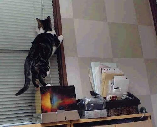 撕碎质疑的夜晚，布伦森如何在欧冠半决赛的聚光灯下重写命运