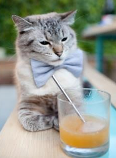 跨越质疑的救赎之战,哈登如何带领湖人逆转篮网