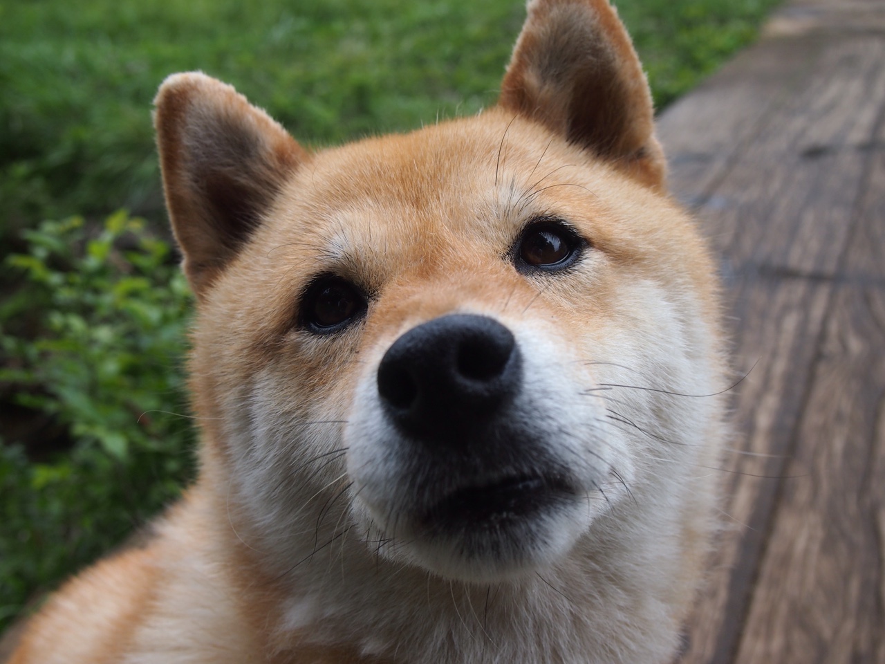 英格拉姆一剑封喉！太阳队最后两分钟窒息攻防，终结浙江队不败神话