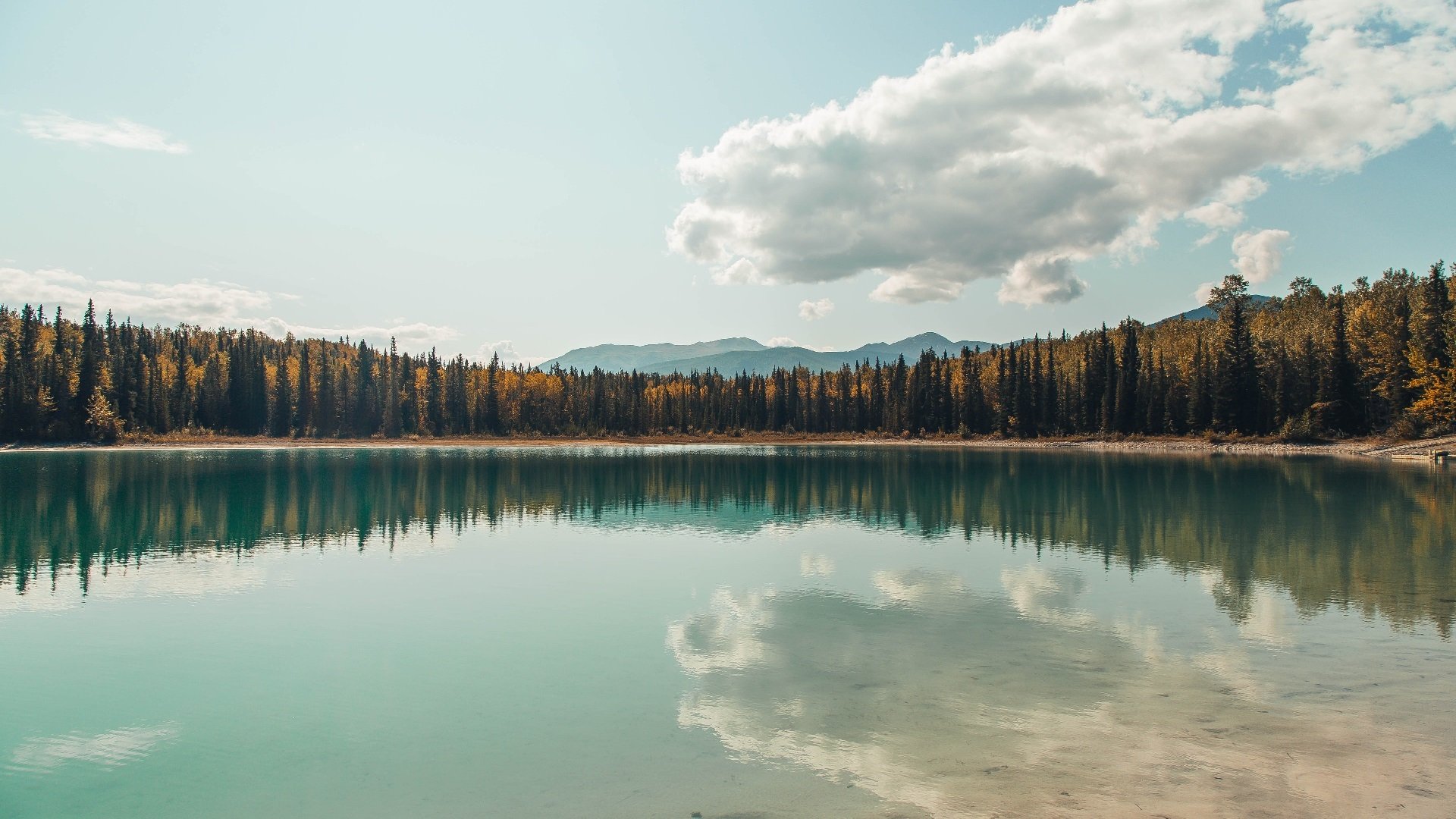 铁血五虎量子穿越战上海，一场跨越二十年的篮球哲学对话