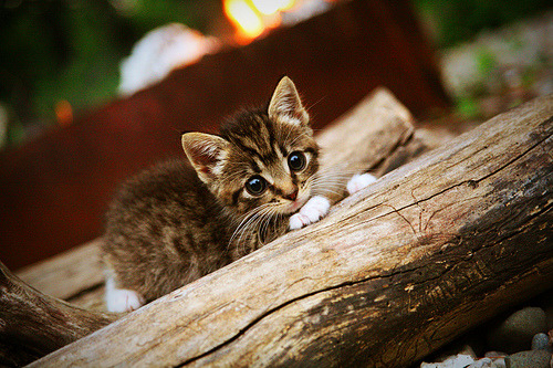 2026世界杯之夜，神魔一念间，维尼修斯为宿敌之战的胜负手